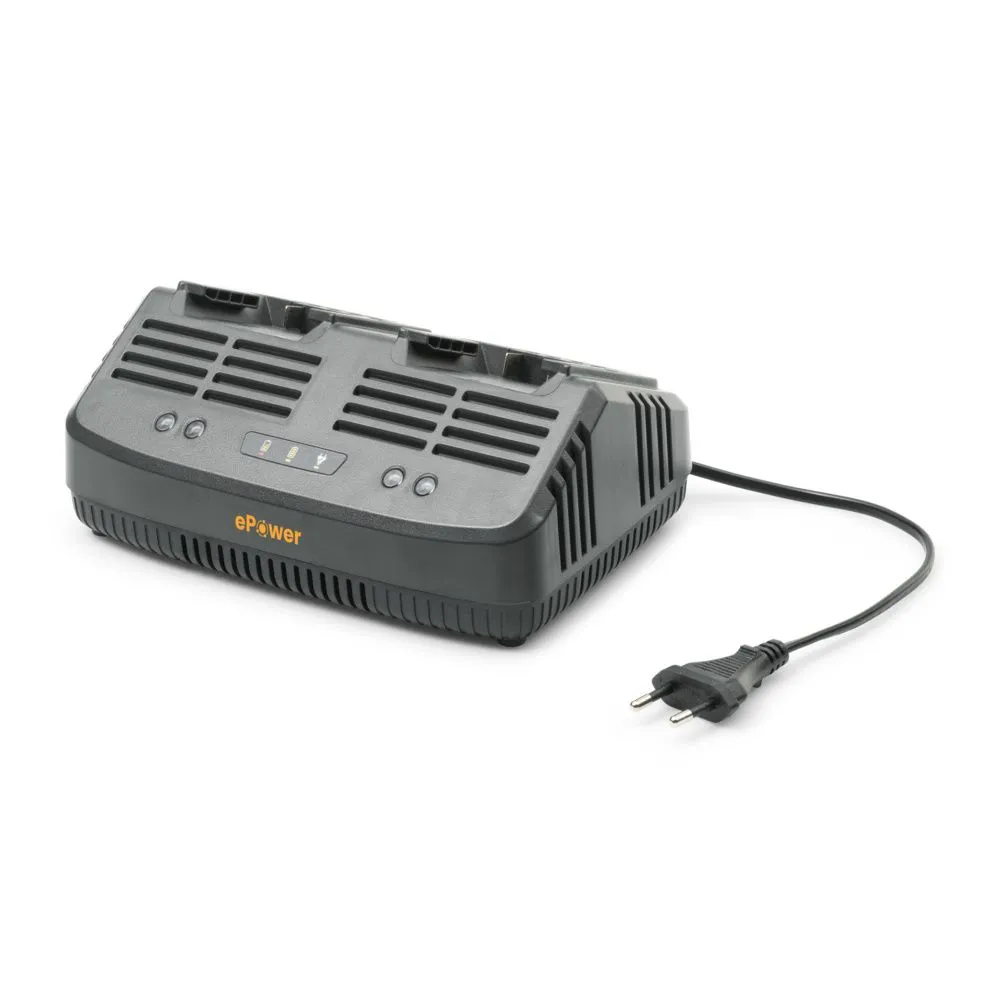Akku-Ladegerät C 215 D Doppel